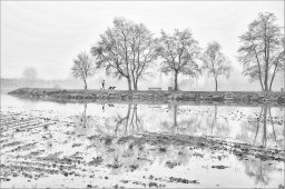 guy_dauvergne129